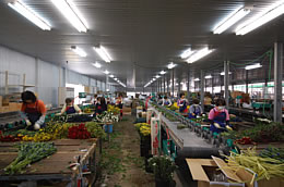 花束加工部門