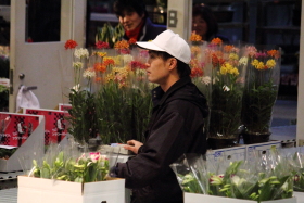 鉢物セリ部門画像013