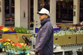 鉢物セリ部門画像015