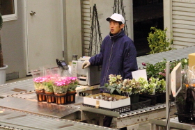 鉢物セリ部門画像017