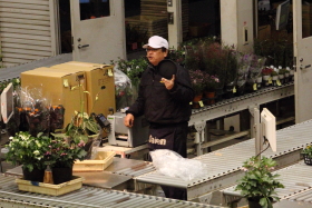 鉢物セリ部門画像018