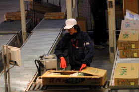 生花セリ部門画像011