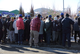 植木セリ部門画像001