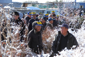 植木セリ部門画像003