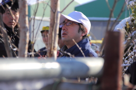 植木セリ部門画像006