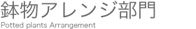 鉢物アレンジ部門