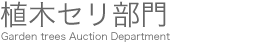植木セリ部門