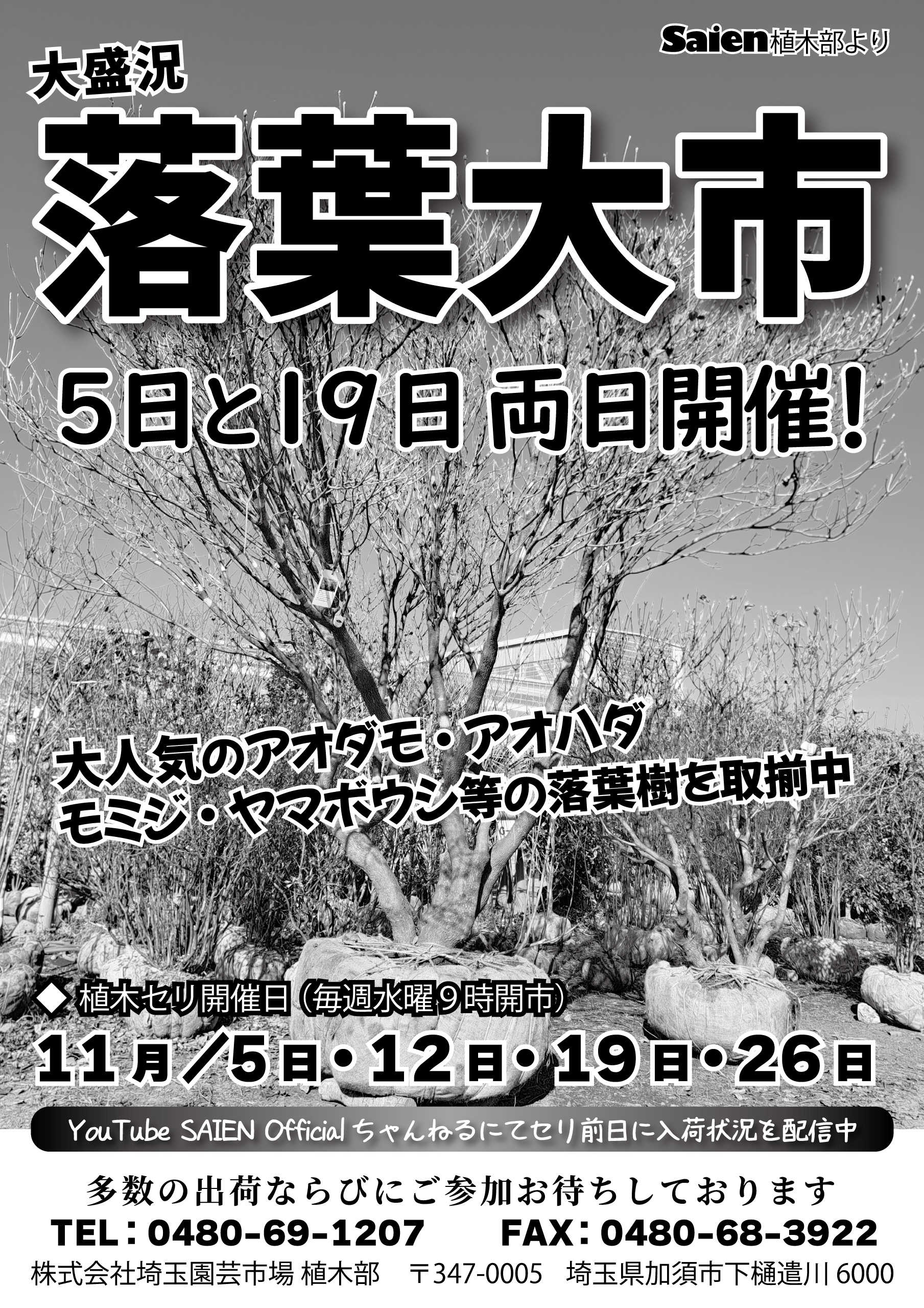 木曽河(木〜土購入分は日・月曜日発送)さま専用 株式会社 埼玉園芸市場 ～Saien Kazo Kaki～