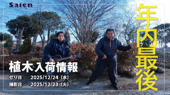 植木売場20251223