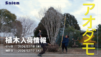 植木売場20260217