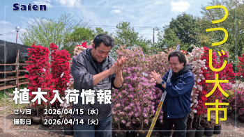 植木売場20260415