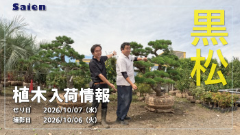 植木売場20261006