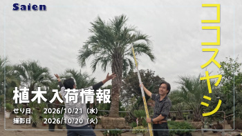 植木売場20261020