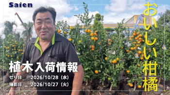 植木売場20261027